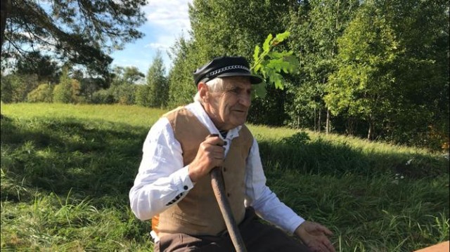 Dzeds spēlfilmā